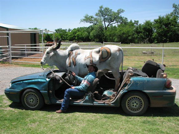 Cattle hauling jobs in oklahoma
